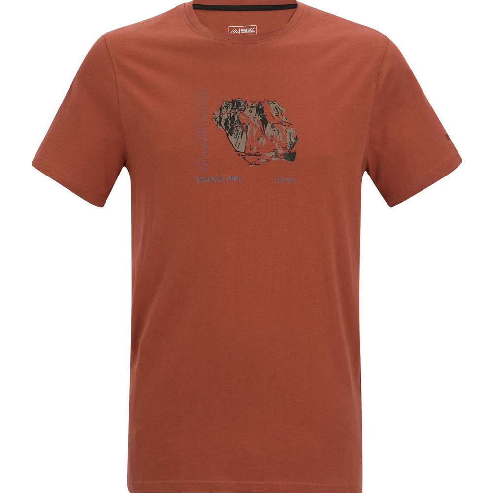 Link zu  T-Shirt, Light Sage