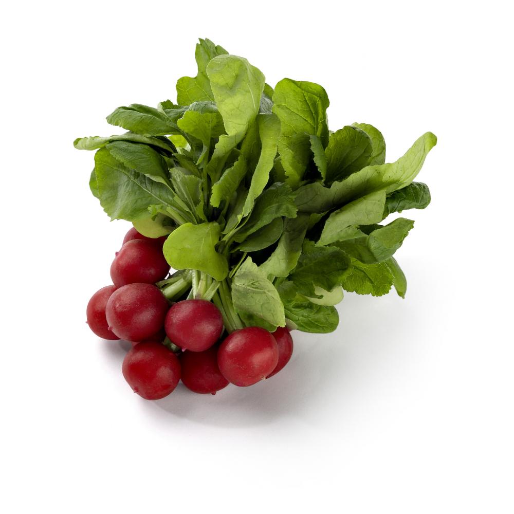 Link zu  Radieschen Bund, pro Stück