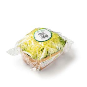 Link zu  Frisee Salat, Schale