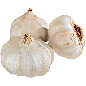 Link zu  Knoblauch weiß, Netz