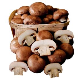 Link zu  Champignons braun, Schale