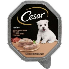 Link zu  Hunde-Nassfutter Junior, Truthahn/Kalb