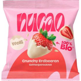 Link zu  Bio Erdbeeren mit Schokoladenüberzug