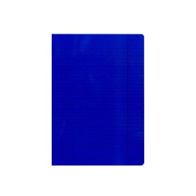 Link zu  Heftdiarien, A4, 40 Blatt, liniert Ra
