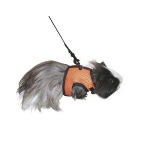 Link zu  Meerschweinchen-Geschirr mit flexibler Leine, 120cm