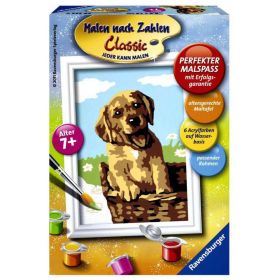 Link zu  Malen nach Zahlen, Welpen