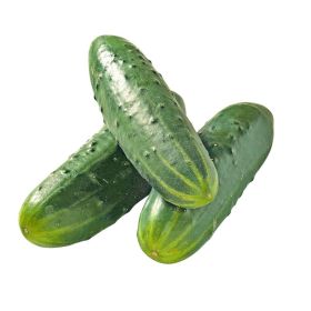 Link zu  Bio Landgurke