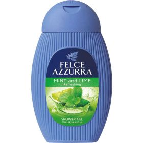 Link zu  Duschgel, Minze/Limette