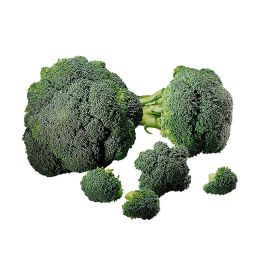 Link zu  Bio Broccoli