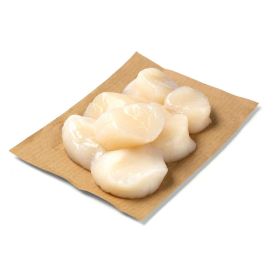 Link zu  Tiefsee-Scallops