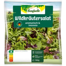 Link zu  Wildkräutersalat
