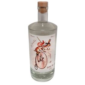 Link zu  Gin 45%
