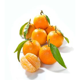 Link zu  Clementinen, Netz