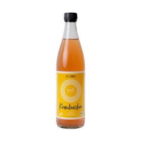 Link zu  Bio Kombucha Frucht