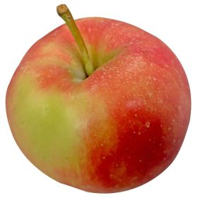 Link zu  Apfel Elstar, lose