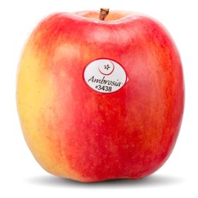 Link zu  Apfel Ambrosia, lose