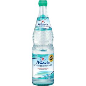 Link zu  Mineralwasser Schlossbrunnen, Medium