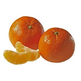 Link zu  Mandarinen im Netz