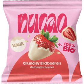 Link zu  Bio Erdbeeren mit Schokoladenüberzug