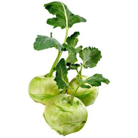 Link zu  Kohlrabi