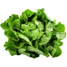 Link zu  Wurzelsalat Buttersalat