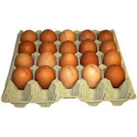 Link zu  Lose Eier aus Hessen Freilandhaltung, Gr. XL
