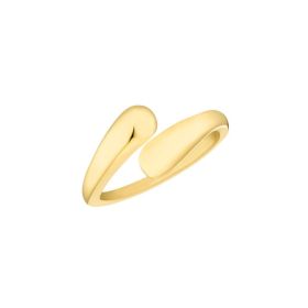 Link zu  Ring aus Edelstahl