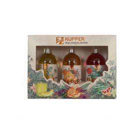Link zu  Geschenkbox Melonenliköre