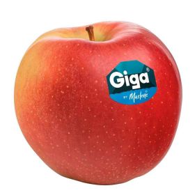 Link zu  Tafelapfel Giga
