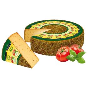 Link zu  Sommer Rebell