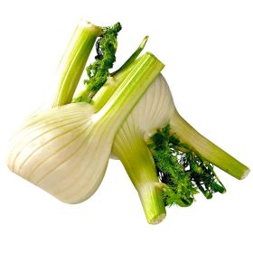 Link zu  Fenchel, lose