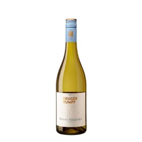 Link zu  Weißburgunder, Weißwein
