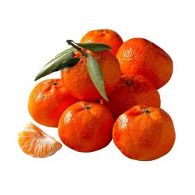 Link zu  Mandarinen Netz