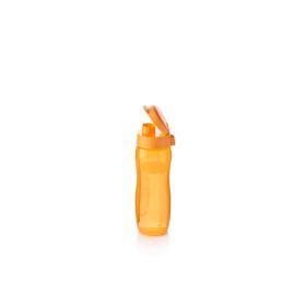 Link zu  Trinkflasche Eco Bottle Gen II 500 ml