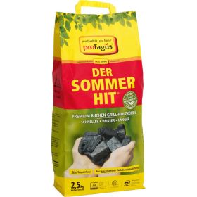 Link zu  Grillis Buchen-Holzkohlebriketts, je 2,5 kg
