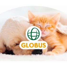Link zu  Geschenkgutschein Katzen