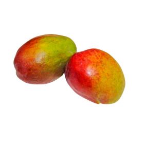 Link zu  Mango 2er Schale