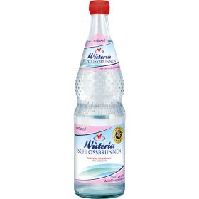Link zu  Mineralwasser Schlossbrunnen, Naturell