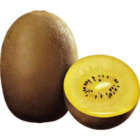 Link zu  Kiwi gelb Sorte Sungold