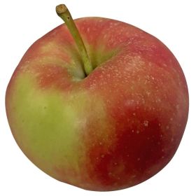 Link zu  Globus Regional Tafeläpfel Gala Royal/Elstar/Braeburn oder Jonagold, je 2 kg-Beutel