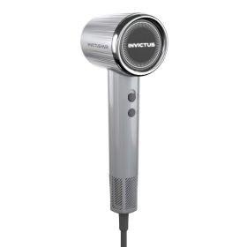 Link zu  Haartrockner Invictus D5 silber
