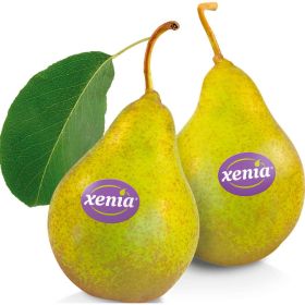 Link zu  Birne Xenia, lose