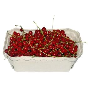 Link zu  Johannisbeeren rot, Schale