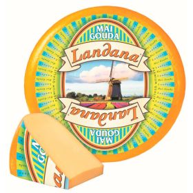 Link zu  Landana Mai Gouda