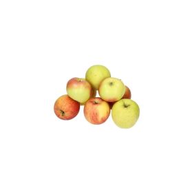 Link zu  Apfel Delbart, Beutel