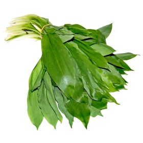 Link zu  Bio Bärlauch