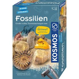 Link zu  Mitbringexperiment, Fossilien