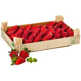 Link zu  Premium Erdbeeren