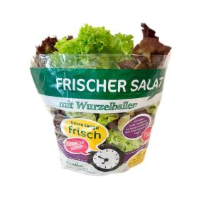 Link zu  Salate mit Wurzelballen: „Kopfsalat“ oder „Salat-Trio-Mix“ in der Tüte, je Stück