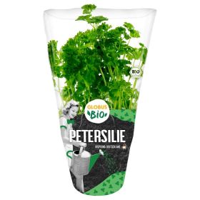Link zu  Bio Petersilie kraus Topf